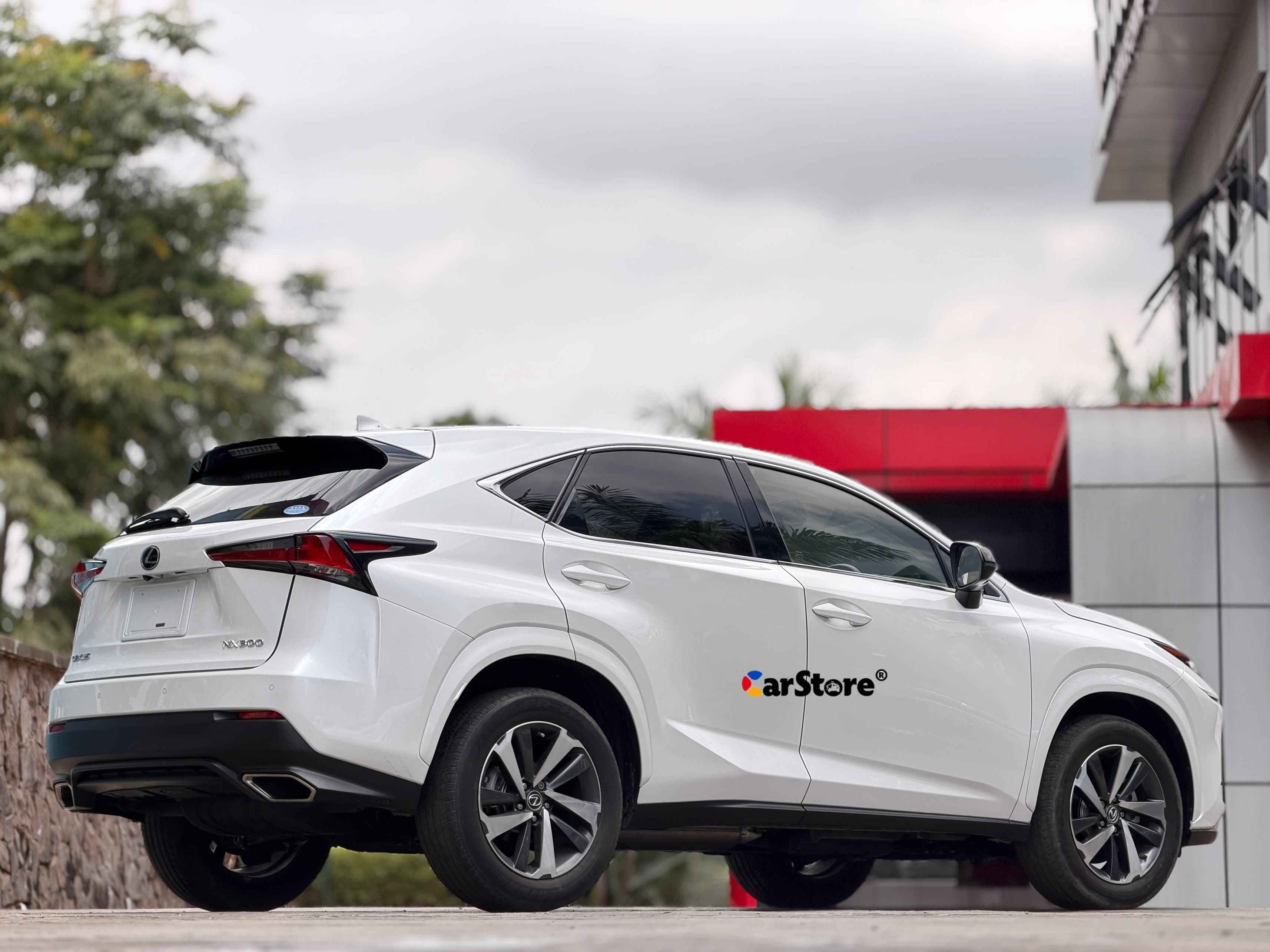 Lexus NX 300 view 3