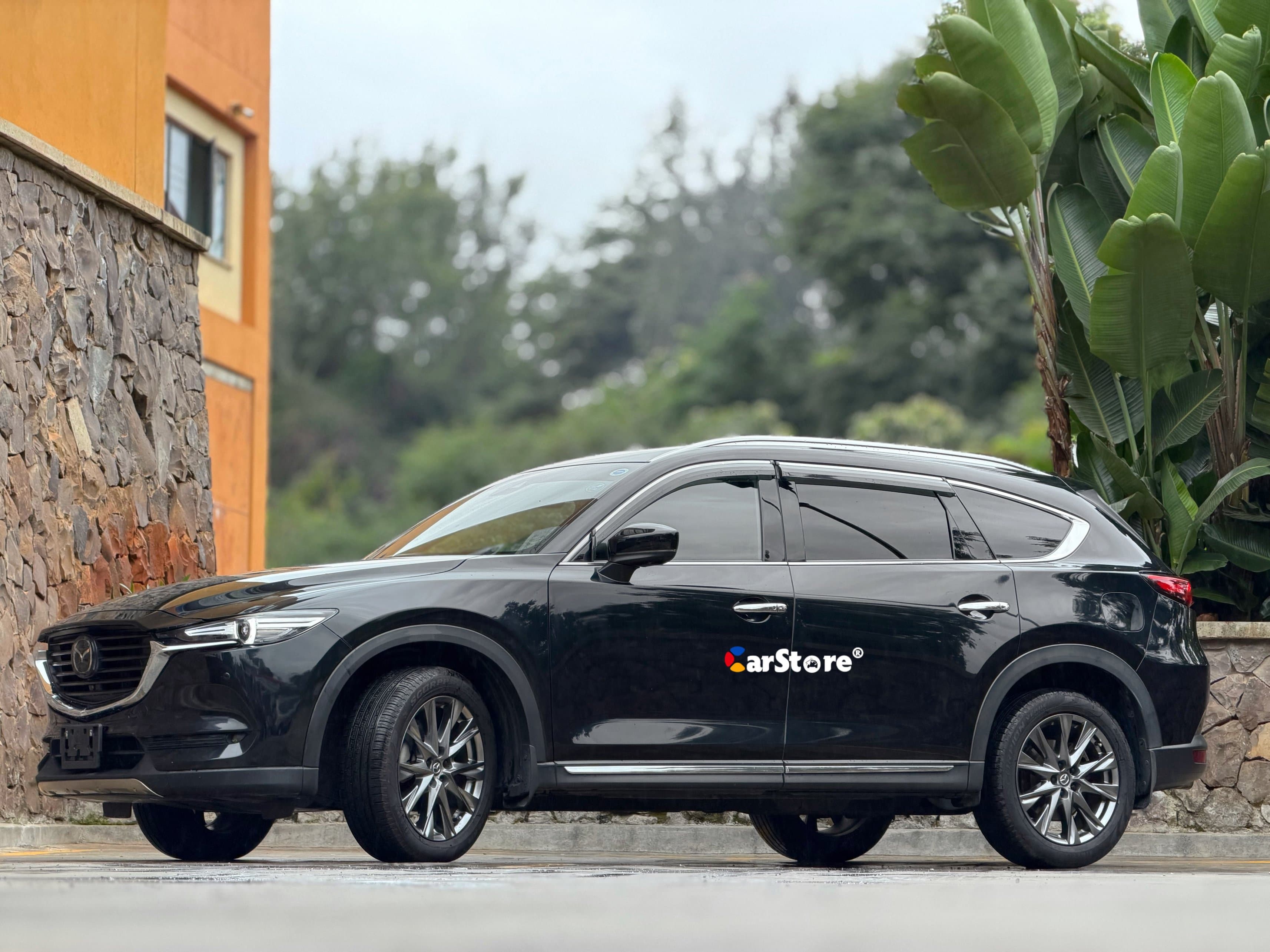 Mazda CX-8 view 2